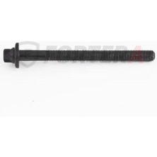 Fortera Silindir Kapak Saplaması Benzinli Uzun Clio Kangoo