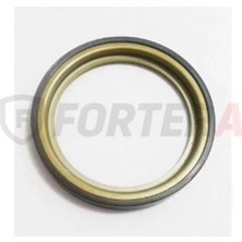 Fortera Abs Okuyucu Arka Kampana Clio Iv Sandero Stepway