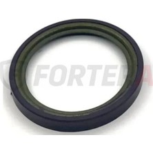 Fortera Abs Okuyucu Arka Disk Clio Iıı Modus Sander 2015-