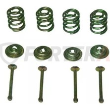 Fortera Fren Yay Çivi Takımı Palio Albea