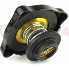 Fortera Radyatör Kapağı Termostatli Doğan Kartal Şahin