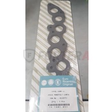 Fortera Eksoz Manifolt Contası Doğan Kartal Şahin Bütün