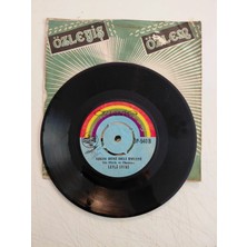 Plakperest Leylâ Ertaş  – Tatlı Dile Güleryüze Doyulurmu - 1976 Türkiye Basım 45’lik Plak -2.el