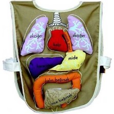 Popüler Sepet Organ Önlüğü - AND-5011