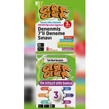 YDS Publishing Ata Yayınları 3 Sınıf Tüm Dersler ve 3 Sınıf Denenmiş 7 Li Deneme (2'li Set)