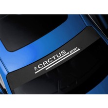 AK-SA-STR Citroen Cactus Için Özel Yeni Uyumlu Aksesuar Oto Ön Cam Oto Özel Yeni Sticker Karbon