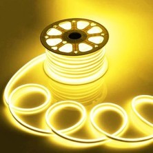 Ledzen Neon LED 12 V 5mt (12 V Giriş Fişi Dahil)