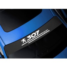 AK-SA-STR Peugeot 307 Için Özel Yeni Uyumlu Aksesuar Oto Ön Cam Oto Özel Yeni Sticker Karbon