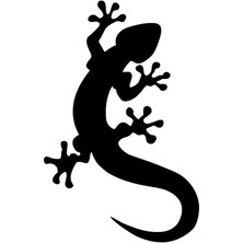 AK-SA-STR Kertenkele Sticker 10 x 15 cm