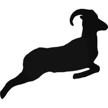 AK-SA-STR Zıplayan Koç Sticker 20 x 16 cm