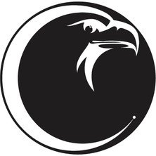 AK-SA-STR Kartal Desen Duvar Dekor Sticker 40 x 40 cm