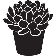 AK-SA-STR Saksı Çiçeği Kaktüs Duvar Dekor Sticker (Tip 1) 40 x 44 cm