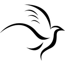 AK-SA-STR Uçan Kuş Sticker 10 x 8 cm