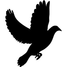 AK-SA-STR Uçan Güvercin Oto Özel Yeni Sticker Siyah 25 x 30 cm