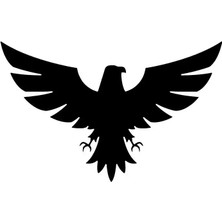 AK-SA-STR Kartal Oto Özel Yeni Sticker Siyah 25 x 37 cm