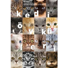 Yitik Ülke Yayınları Kedi Öyküleri