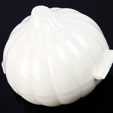 Biyomak® Kapaklı Kilit Mekanizmalı Mini Sarımsak Saklama Kabı