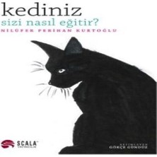 Kediniz Sizi Nasıl Eğitir