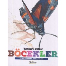 Teleskop Yaşam Dolu Böcekler