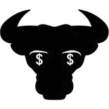 AK-SA-STR Dolar Gözlü Boğa Oto Özel Yeni Sticker 30 x 24 cm