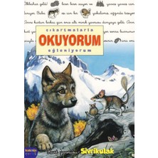 Kaknüs Yayınları Sivrikulak / Çıkartmalarla Okuyorum Eğleniyorum