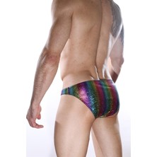 Hafif Giyim Erkek Çok Renkli Fantezi Seksi Parlak Desenli Slip DM012126HF