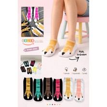 Color Socks 6 Çift Tavuk Ayağı Desenli Patik Çorap Seti (Extra Soft)