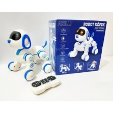 Renkli Çiçekler Kumandalı Akıllı Robot Köpek Şarkı Söyleyen Dans Eden Şınav Çeken Sesli Oyuncak Robot