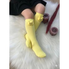 Bigümex Kız Çocuk Hayvan Figürlü Dizaltı Çorap 3'lü 1/5 Yaş