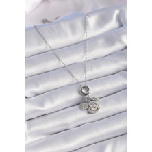 Nehir 316L Çelik Gümüş Renk Zirkon Taş Detay Kalp Model Charm Kadın Kolye