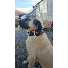 Sürmeli Tasma Kangal Çoban Köpek Tasması Hakiki Deri Kırmızı Beyaz Boncuklu