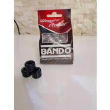 MTYL Rks Bitter Pro (50 125 Özel Seri) Uyumlu Japon Üretim 13 Gram Bando Baga