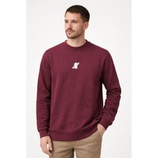 İcono Minimal Tasarımlı Erkek Sweatshirt Modeli