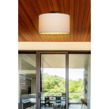 Limon 3D Desing Modern Plafonyer Avize | LED Uyumlu Tavan Aydınlatma | Şık ve Enerji Tasarruflu Tasarım