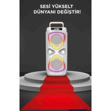 ABS-4219W Taşınabilir Bluetooth Party Hoparlör Işıklı, Mikrofonlu, Kumandalı