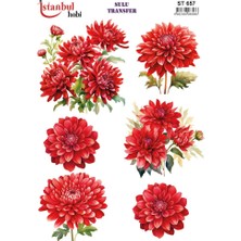 E Hobici Sulu Transfer Kağıdı 25X35CM ST-657