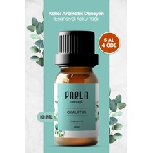 Parla Concept Çamaşır Yün Kurutma Topu Kokusu - Okaliptus - 10 ml - 1 Adet - Esansiyel Uçucu Yağ