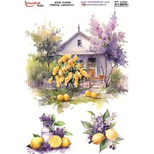 E Hobici Pirinç Dekopaj Kağıdı 30X42CM PT-1720