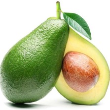 Taber Aşılı Ettinger Avokado Fidanı 50-70 cm - Don Dirençli Bahçenizin Verim Sigortası Tozlayıcı Tür