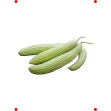 MarkEntegra Taze Tohumu (5 Gr) - Sağlıklı Salatalar Için