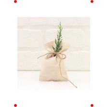 MarkEntegra Düz Krem Ham Bez Kese - 10X15 Cm, 10 Adet