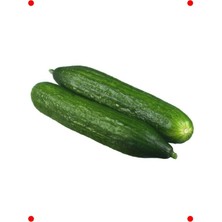 MarkEntegra Beith Alpha Salatalık Tohumu (Ithal, 5 Gram)