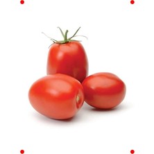 MarkEntegra Salçalık Domates Tohumu - Verimli Hasat