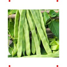 MarkEntegra Alman Ayşe Fasulye Tohumu (25 Gr) - Leneksel Tat