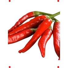 MarkEntegra Hatay Acı Biber Tohumu - Yoğun Lezzet