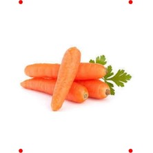 MarkEntegra Taze Havuç Tohumu - Çıtır ve Tatlı Hasat