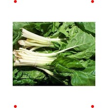 MarkEntegra Doğal Pazı Tohumu - Sağlıklı ve Lezzetli