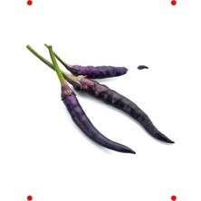 MarkEntegra Mor Süs Biberi Tohumu - Dekoratif ve Şık