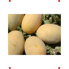 MarkEntegra Ananas Kavun Tohumu - 10 gr