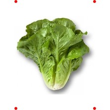 MarkEntegra Yedikule Marul Tohumu (Çoklu Paket, 5 Gram)